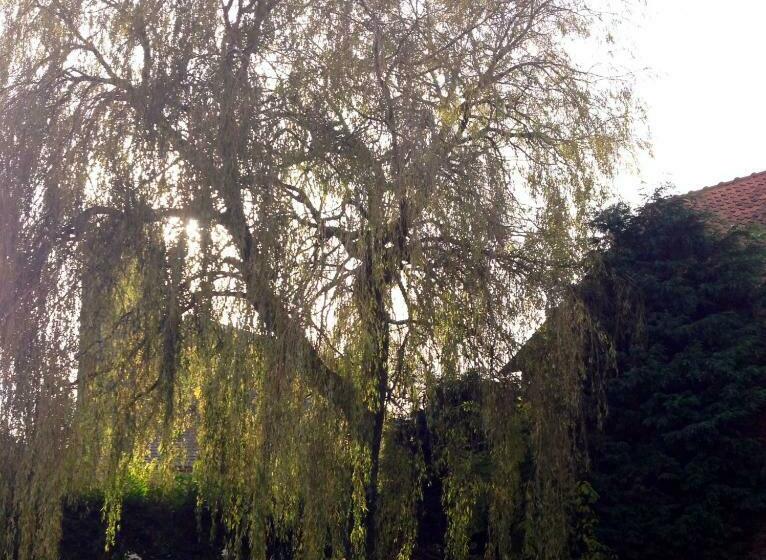 住宿加早餐 Au Repos Du Roi