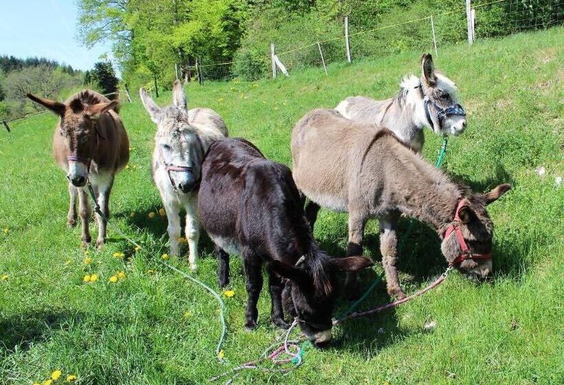 민박 Chambres D Hôtes Chez Pierrot Et Flo