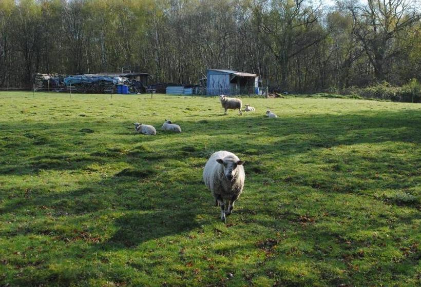 住宿加早餐  Chambres D Hôtes La Tribu