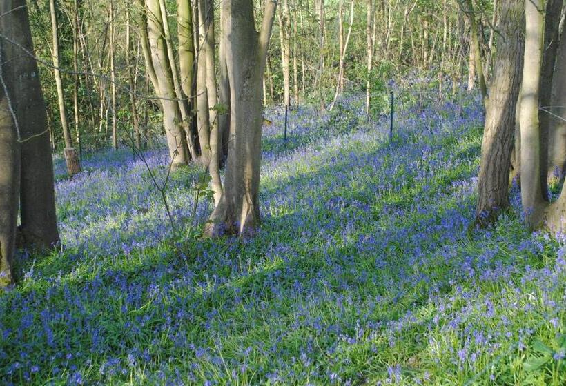 住宿加早餐  Chambres D Hôtes La Tribu