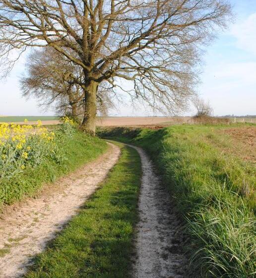 住宿加早餐  Chambres D Hôtes La Tribu