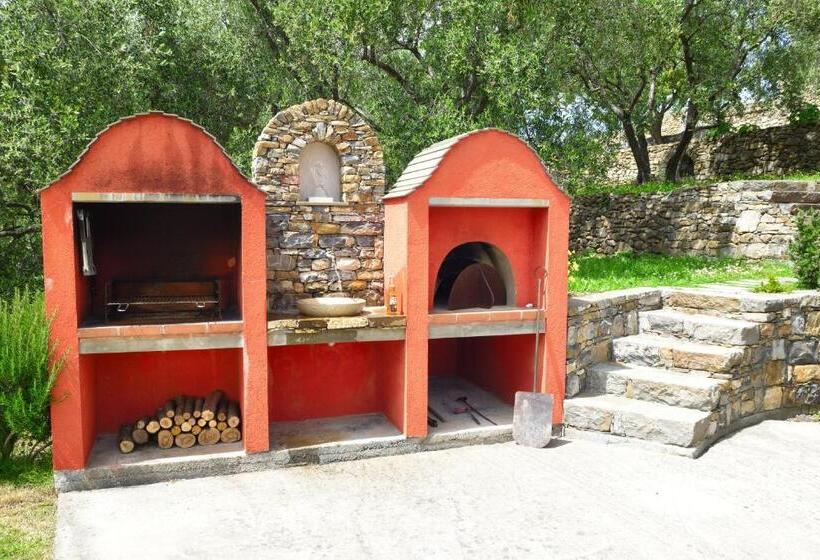 تختخواب و صبحانه Costadoro