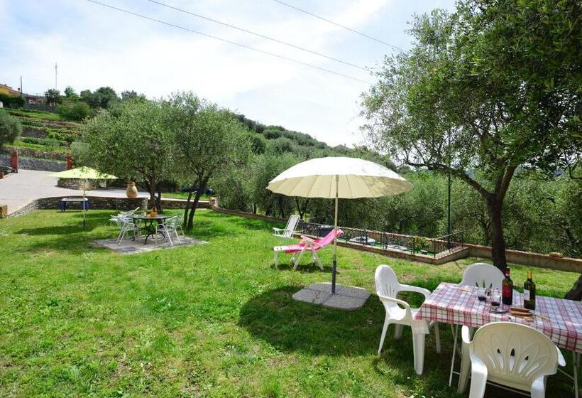 تختخواب و صبحانه Costadoro