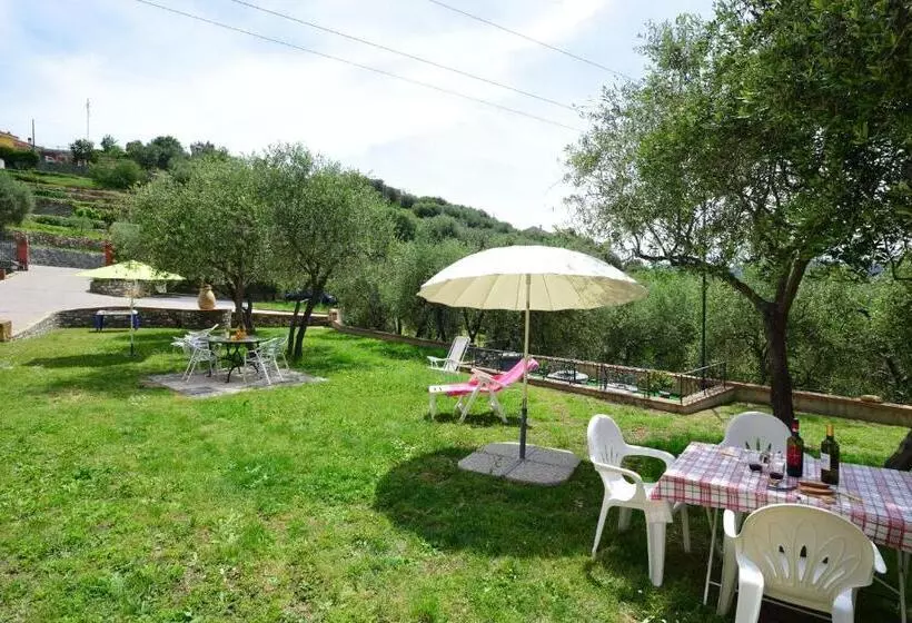 تختخواب و صبحانه Costadoro