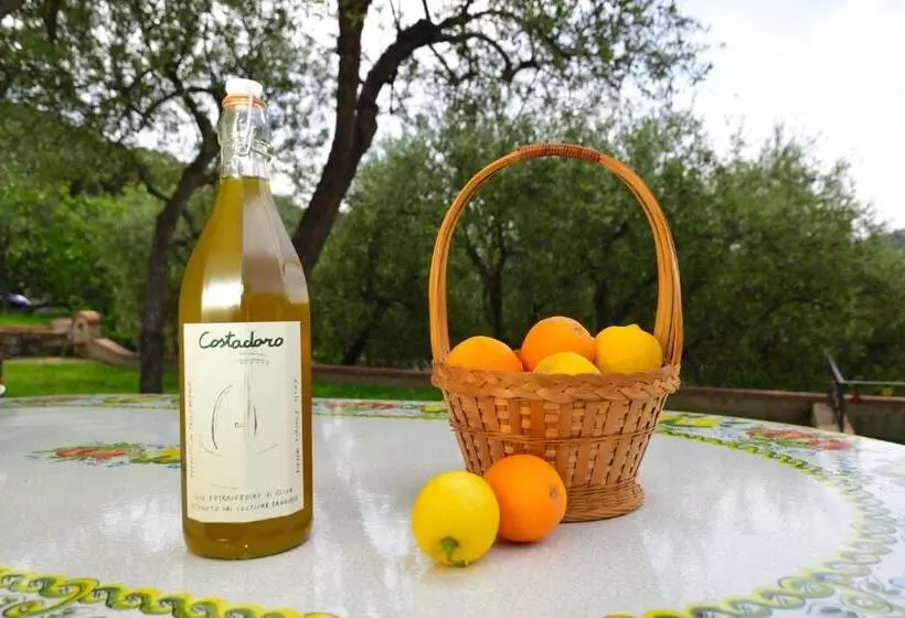 تختخواب و صبحانه Costadoro