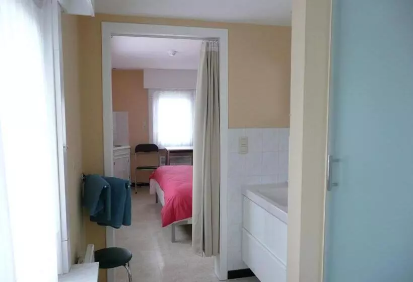 Aamiaismajoitus (B&B) De Windroos