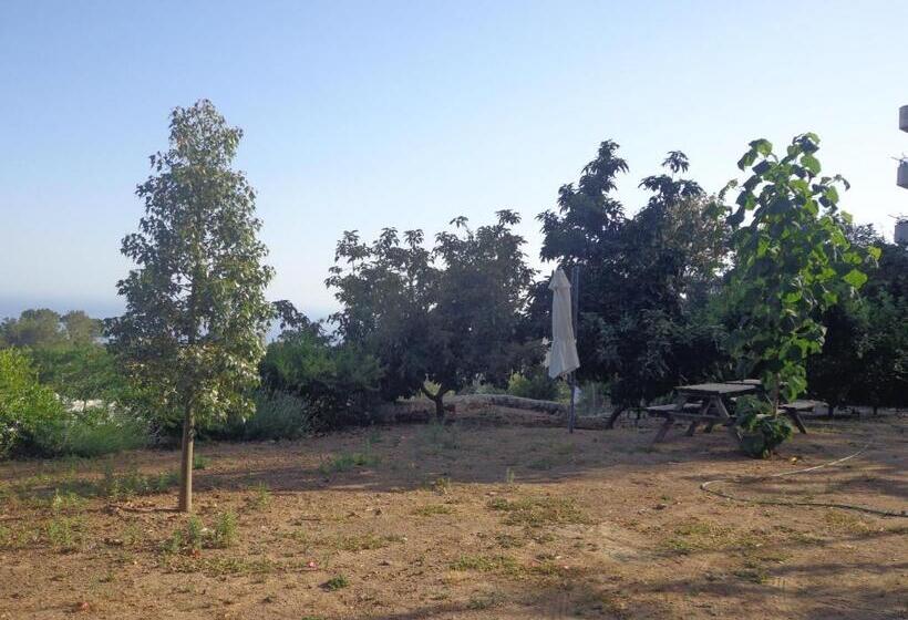 تختخواب و صبحانه Farmhill