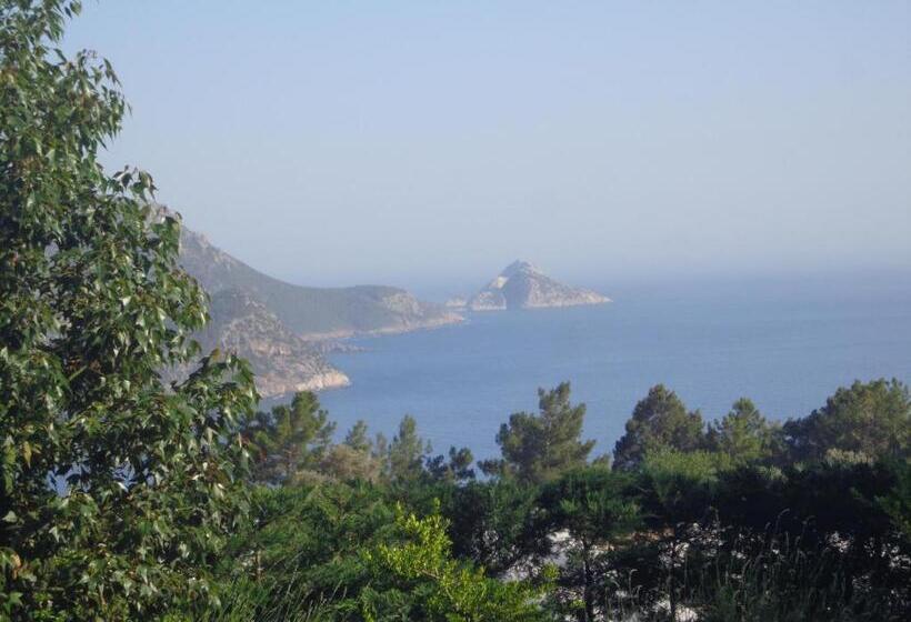 تختخواب و صبحانه Farmhill