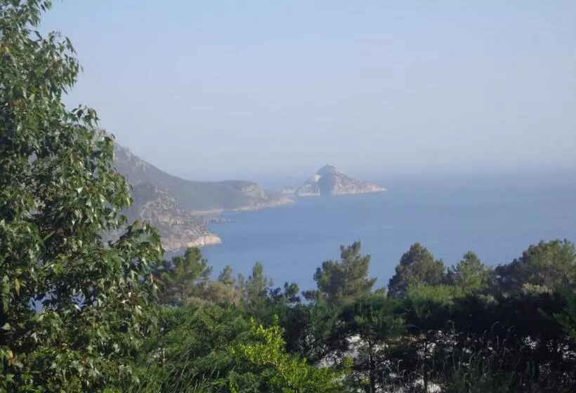 تختخواب و صبحانه Farmhill