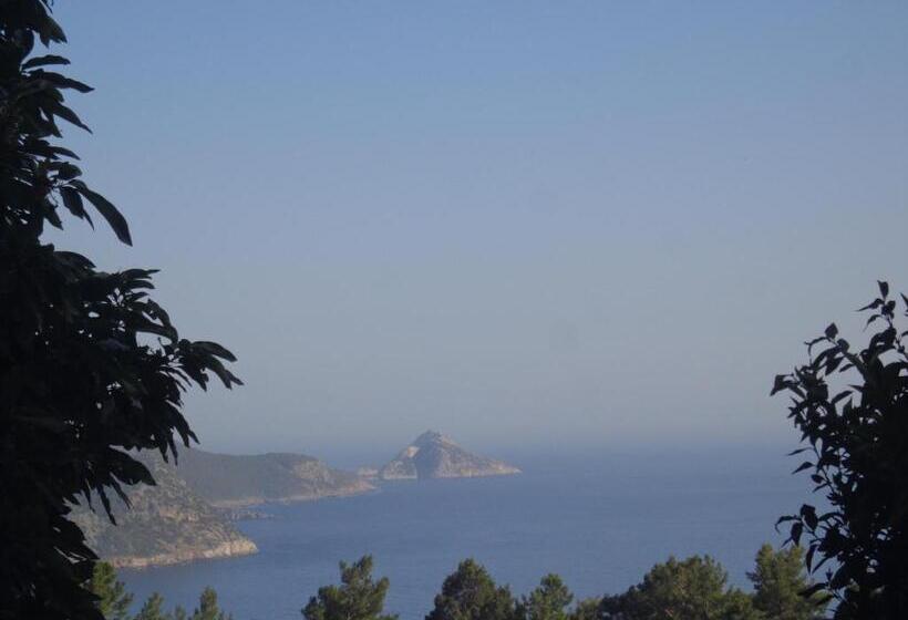 تختخواب و صبحانه Farmhill