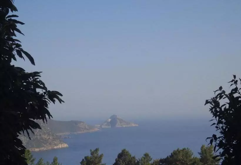 تختخواب و صبحانه Farmhill