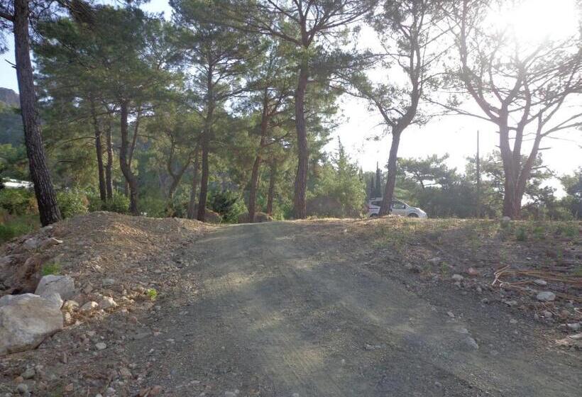 تختخواب و صبحانه Farmhill