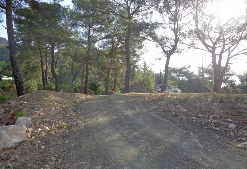 تختخواب و صبحانه Farmhill