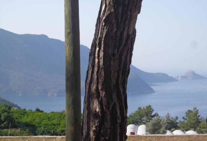 تختخواب و صبحانه Farmhill