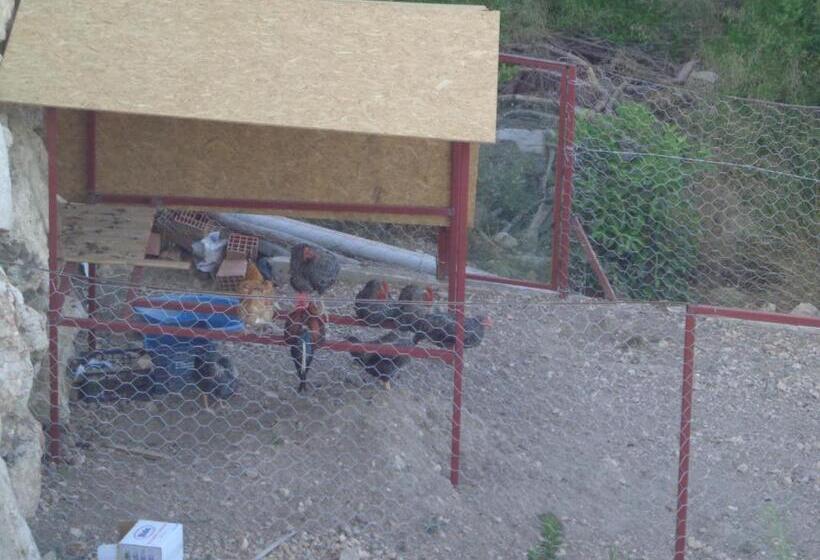 تختخواب و صبحانه Farmhill