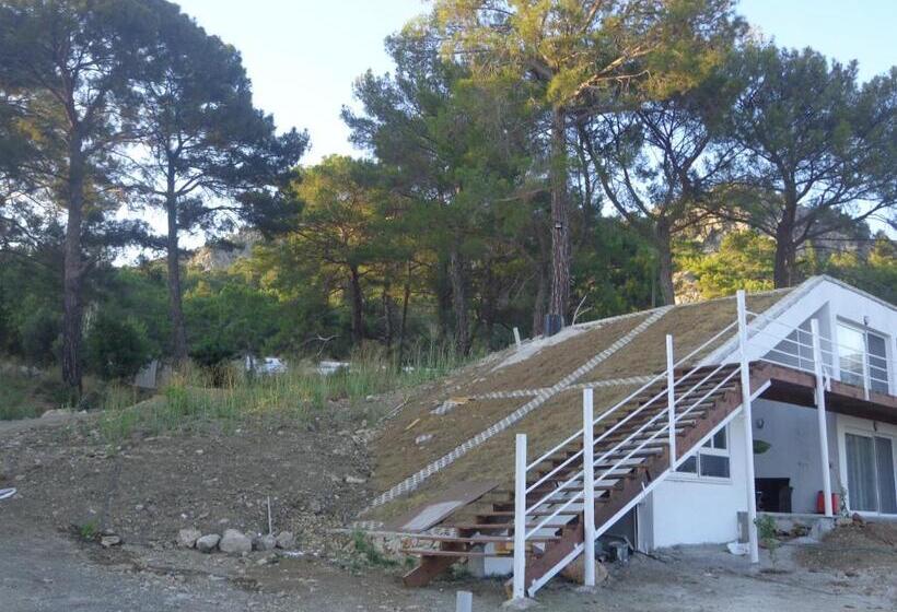 تختخواب و صبحانه Farmhill