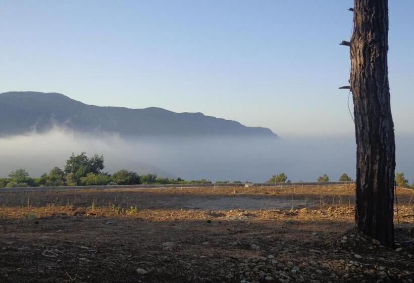 تختخواب و صبحانه Farmhill