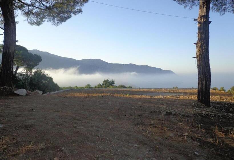 تختخواب و صبحانه Farmhill