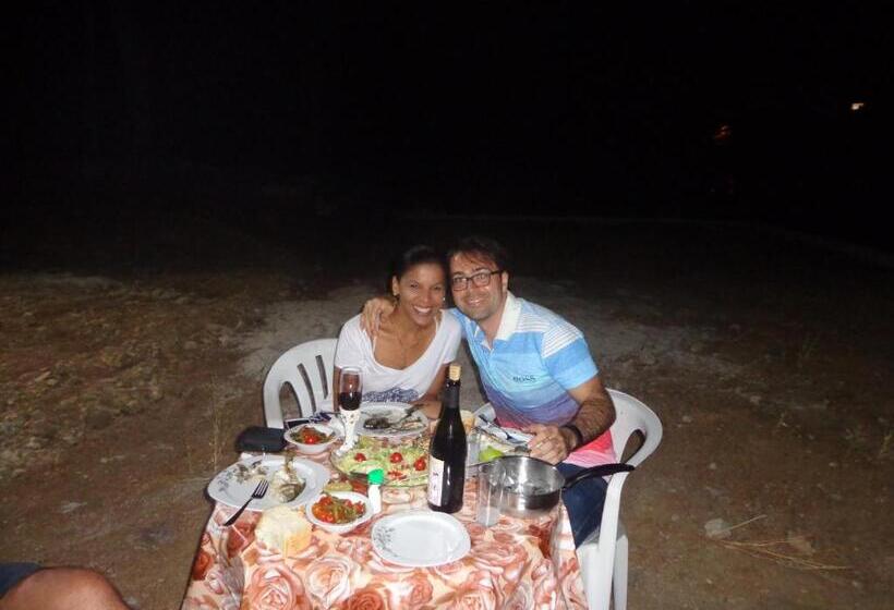 تختخواب و صبحانه Farmhill