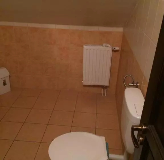 Aamiaismajoitus (B&B) János Tó