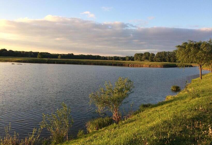 住宿加早餐 János Tó