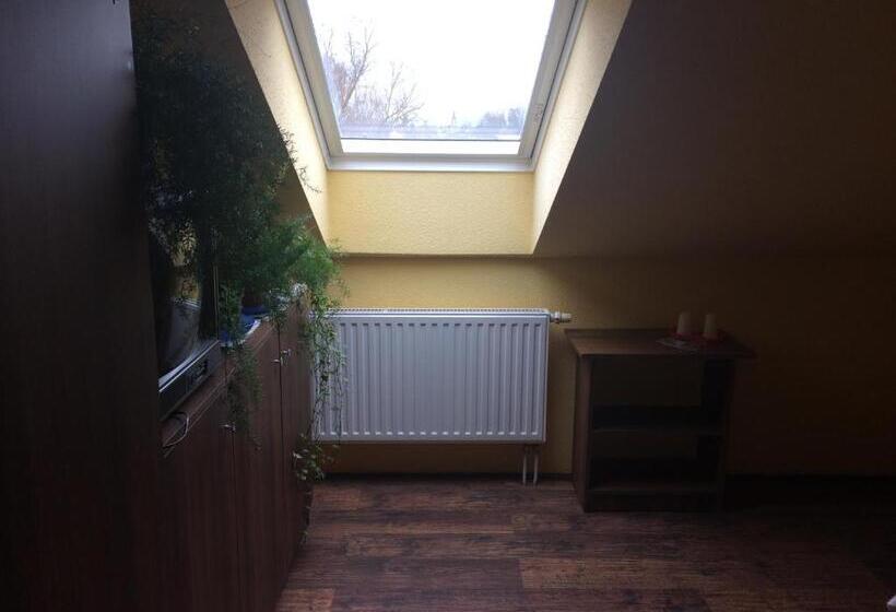 住宿加早餐 János Tó