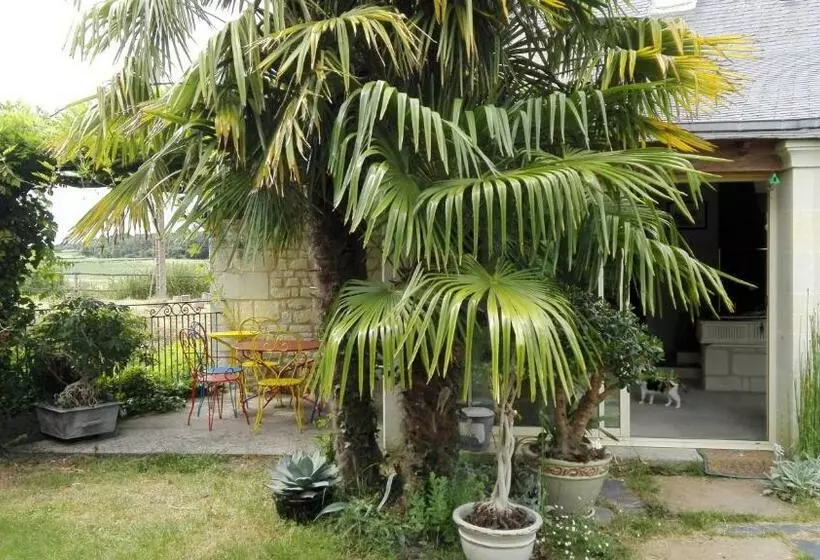 ベッドアンドブレックファースト La Motelle N 5