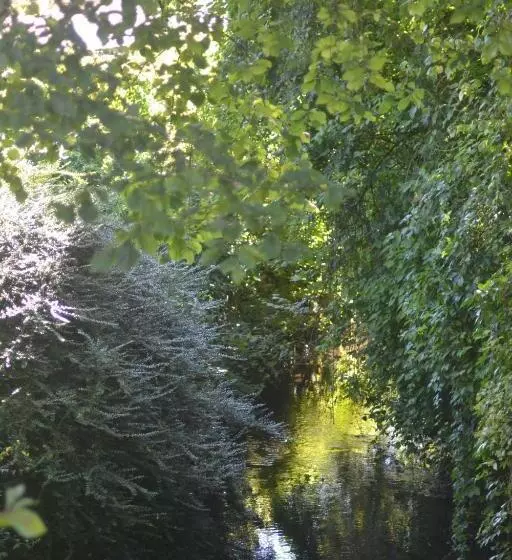 Bed and Breakfast Les Cottages De La Norge