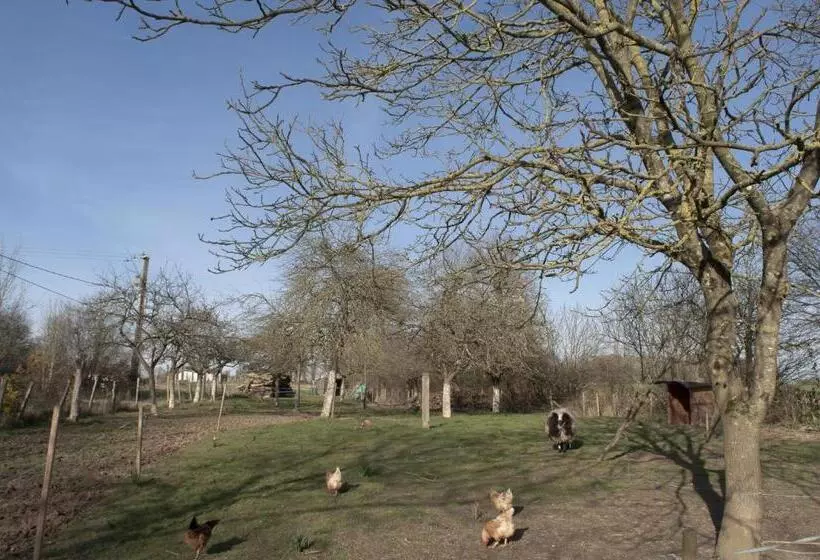 Aamiaismajoitus (B&B) Ty Daou Gwez