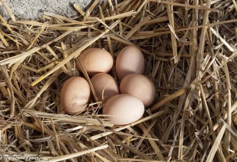 Aamiaismajoitus (B&B) Ty Daou Gwez