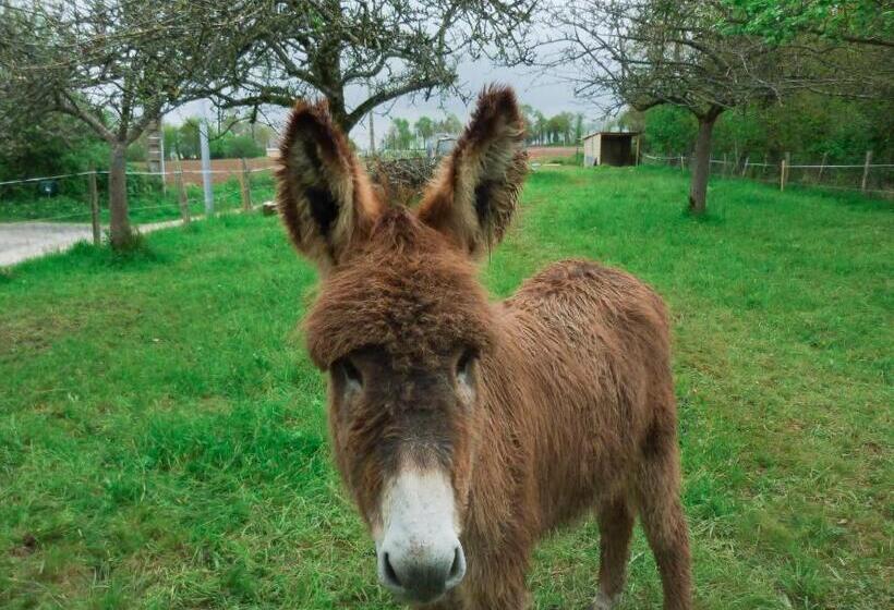 Bed and Breakfast Ty Daou Gwez