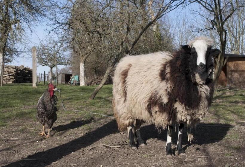 Bed and Breakfast Ty Daou Gwez