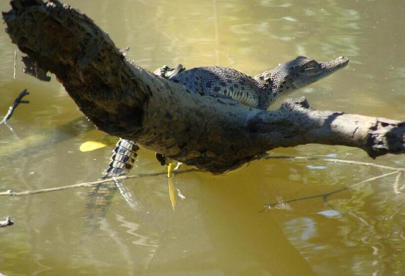 Отель Corroboree Park Tavern