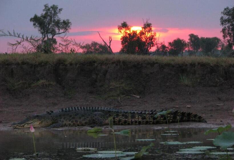 Отель Corroboree Park Tavern