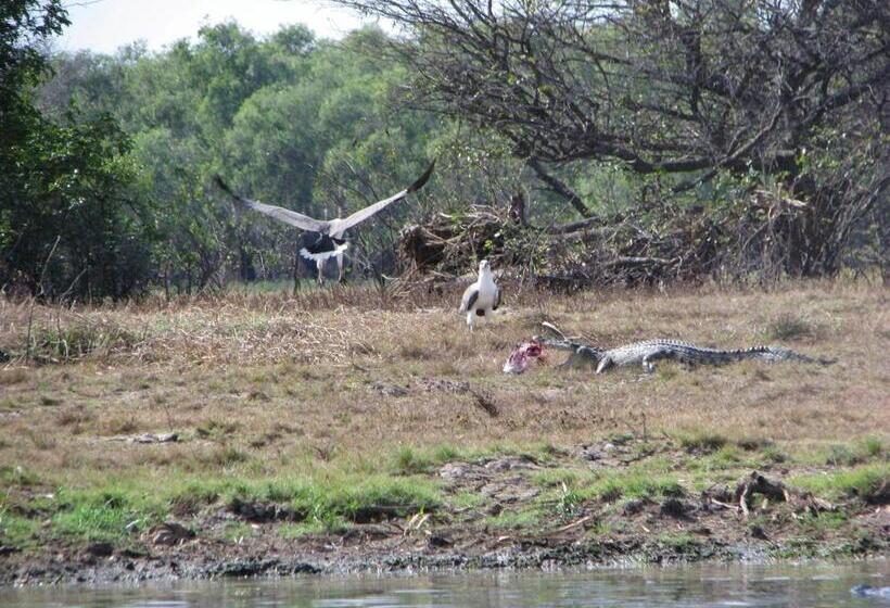 Отель Corroboree Park Tavern