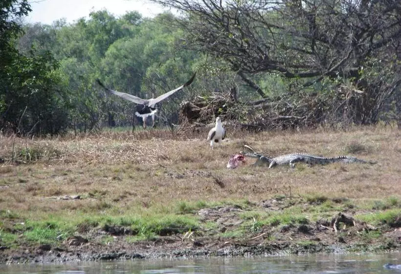 ホテル Corroboree Park Tavern