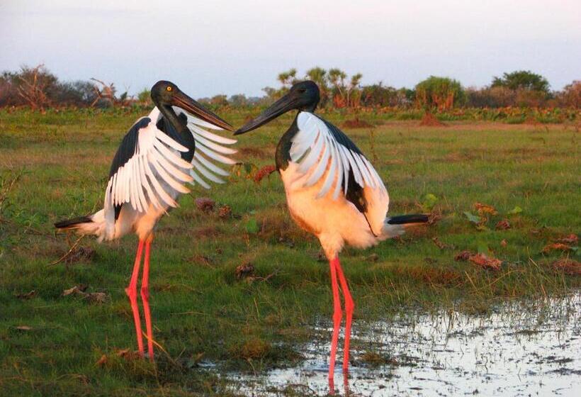 Отель Corroboree Park Tavern