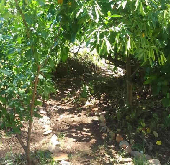 بنسيون Bethany Farm