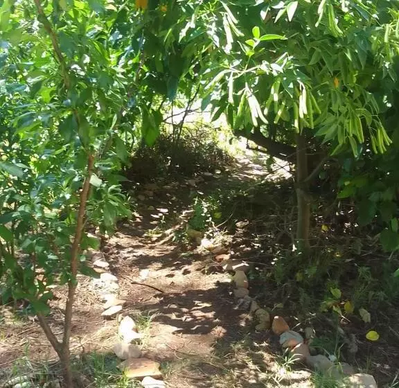 Majatalo Bethany Farm