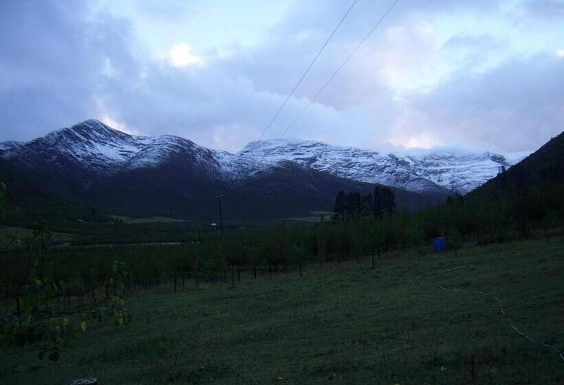 بنسيون Bethany Farm