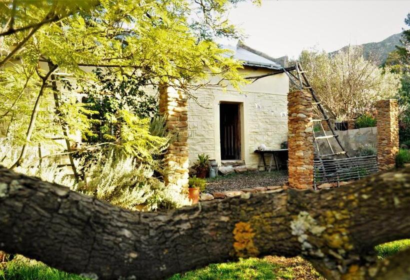 بنسيون Bethany Farm