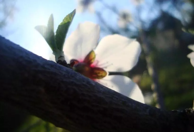 Majatalo Bethany Farm