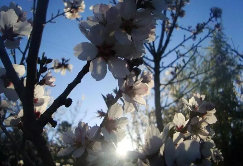 Majatalo Bethany Farm