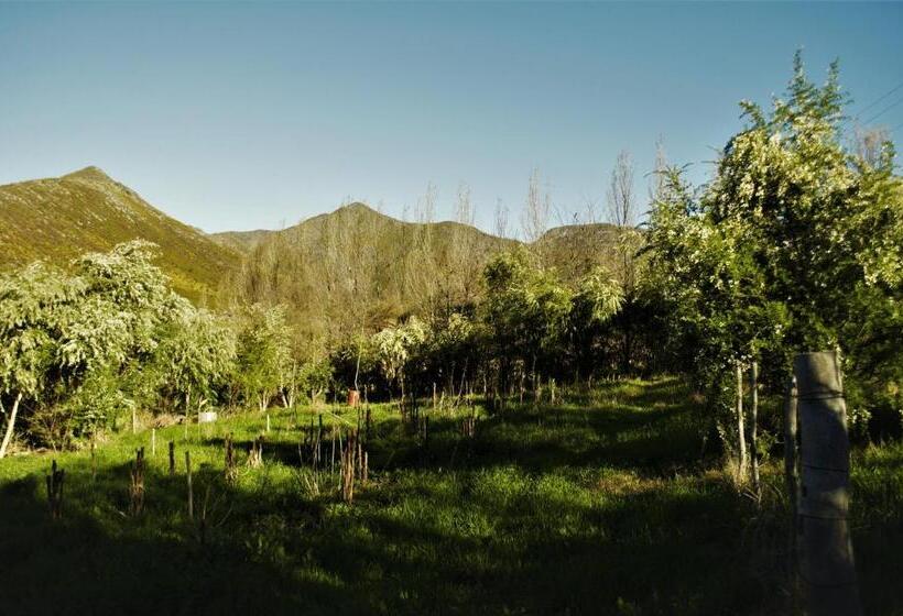 بنسيون Bethany Farm