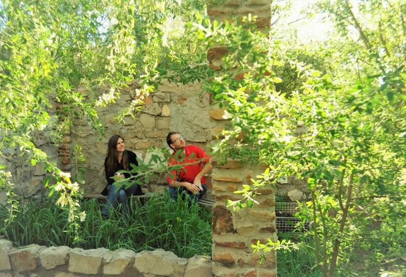 بنسيون Bethany Farm