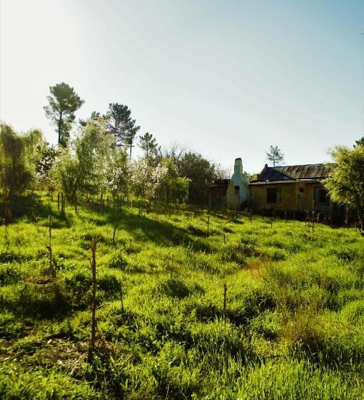 بنسيون Bethany Farm