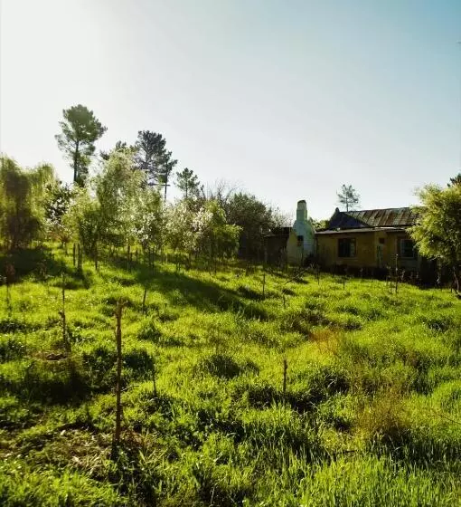 Majatalo Bethany Farm