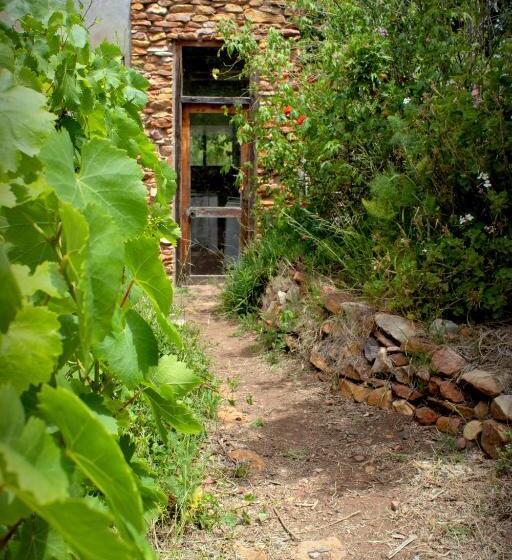 بنسيون Bethany Farm