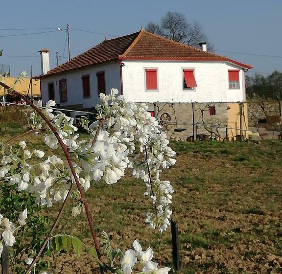 פנסיון Casa Da Vinha Grande