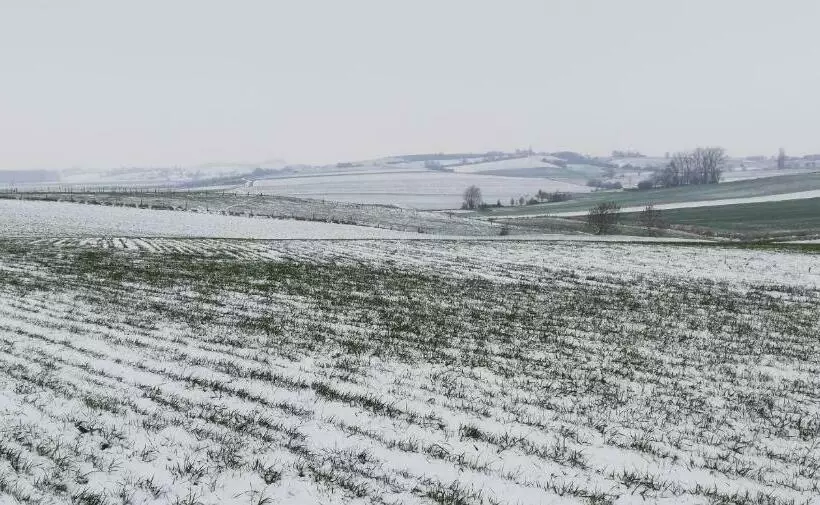 Majatalo Guesthouse Kolibriehuys